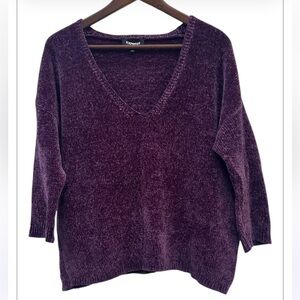 EXPRESS Women’s All Season V-neck Plum Sweater Size: M